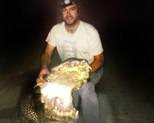 Clip: Hạ gục cá sấu 'khổng lồ' nặng hơn 300 kg