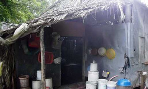 Những thiếu nữ xem kẻ bán mình như ân nhân