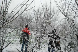 Miền Bắc sắp đón đợt rét đậm đầu tiên trong năm