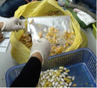 Bắt giữ gần 3kg ma túy trong vỏ đậu phộng