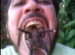 Rùng mình người đàn ông nhét rắn và nhện sống vào miệng