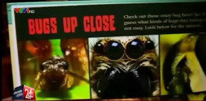 Bé gái 7 tuổi khiến nhà phát hành phải đổi hàng loạt tên sách