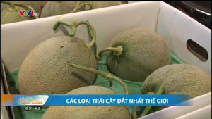 Những trái cây đắt nhất hành tinh, nửa tỷ đồng/cặp