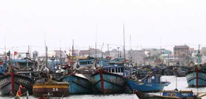 Hơn 32.000 tàu thuyền khẩn trương ứng phó siêu bão