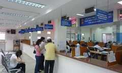 Doanh nghiệp sẽ được hướng dẫn chính sách thuế