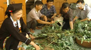 Bài thuốc cực hay trị bệnh xơ gan cổ chướng của người Sán Dìu