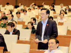 Liên hiệp quốc ca ngợi Việt Nam thông qua Công ước chống tra tấn