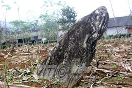 Khai quật ngôi mộ có 12 bông hoa vàng ròng ở Hòa Bình