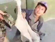 Clip: Giả tàn tật ăn xin bị lật tẩy bẽ bàng