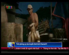 Nạn trộm chó ở Việt Nam lên truyền hình thế giới