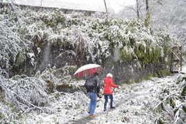 Sa Pa sắp có tuyết rơi?