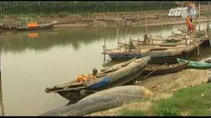 Video: Chìm thuyền chở ngao, 6 người chết ở Thái Bình