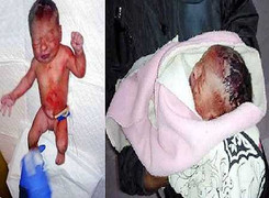 Căm phẫn người mẹ bỏ con vào thùng rác, kiến cắn nát người