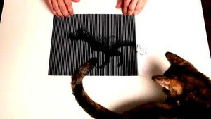 Bạn sẽ bị ảo giác khi xem clip này