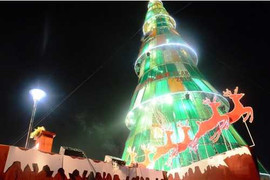 Chiêm ngưỡng cây thông Noel 'khủng' nhất Việt Nam