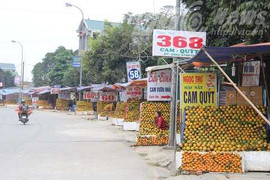 Chuyện ngạc nhiên ở vùng núi nông dân bỗng thành tỷ phú