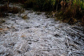 Lạnh 2,5 độ C, băng giá xuất hiện tại Ý Tý - Lào Cai