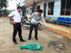 Thả trộm 100 con rắn vào khu dân cư: Không thể khởi tố vụ án