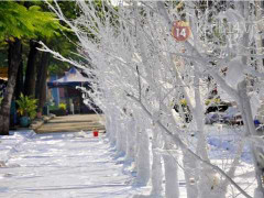 Địa điểm vui chơi, chụp ảnh lý tưởng Noel 2014