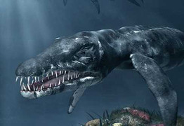 Ly kỳ cuộc chiến với ‘quái vật khổng lồ’ ở đảo Cát Bà