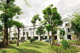 Viglacera tặng 10 cây vàng cho khách mua biệt thự Lâm Viên