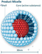 Nano curcumin thế hệ mới: Bước tiến lớn trong hỗ trợ điều trị bệnh dạ dày, ung thư
