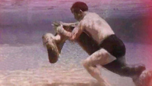 5 cảnh sát hạ gục trăn khổng lồ gây sốt thế giới năm 2014