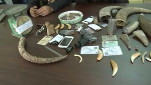 Buôn bán sừng tê giác qua facebook, sắm súng nhựa hù khách