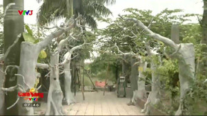 Cơ ngơi 10.000 mét vuông của danh hài Giang Còi