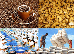 10 mặt hàng nông sản Việt Nam xuất khẩu đạt giá trị tỷ USD