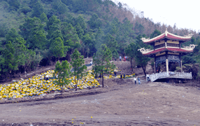 Nữ sinh nhặt được 18 triệu đồng bên mộ Đại tướng Võ Nguyên Giáp