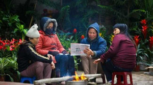 Rét buốt sẽ kéo dài dịp Tết Dương lịch 2015