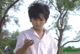 Những cảnh phim xúc động nhất của 'Đất phương Nam'