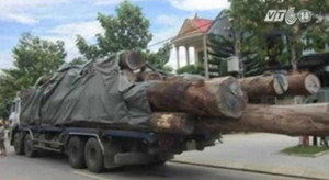 Clip: Bị kiểm tra, lâm tặc táo tợn đâm chết cán bộ kiểm lâm