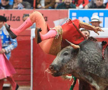 Nữ đấu sĩ xinh đẹp suýt mất mạng vì bò tót