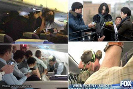 Những 'trò lố' trên máy bay