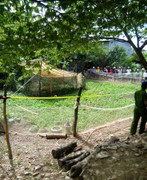 Phát hiện thi thể nam thanh niên dưới ruộng rau muống