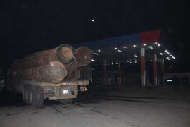 Bắt 8 xe chở quá tải phạt gần 250 triệu đồng