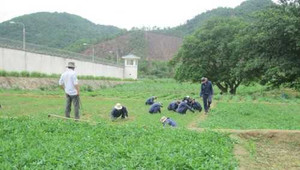 Lời sám hối của đệ tử 'nàng tiên nâu'