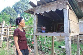 Chuyện cay đắng ở nơi bố mẹ bị khênh ra vườn vì không có con trai