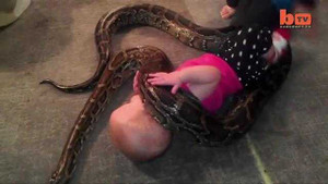 Clip: Bé gái 14 tháng tuổi để trăn cuốn mình