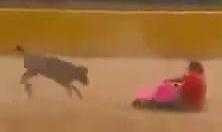 Người đàn ông cười hả hê bị bò húc trả thù