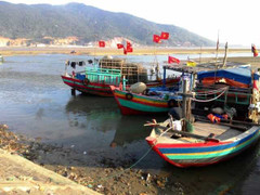 Xác minh loại ốc lạ khiến ba ngư dân tử vong sau khi ăn