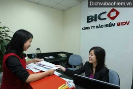 BIC thành lập 3 công ty thành viên mới