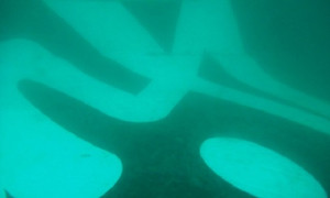 Indonesia công bố hình ảnh đầu tiên của mảnh vỡ máy bay AirAsia dưới biển