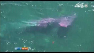 Máy bay rơi xuống hồ, 13 người thoát chết