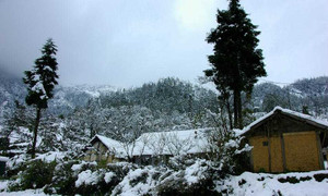 Hình ảnh tuyết rơi trắng trời Sa Pa