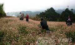 Vùng đất của sự hoang sơ và lãng mạn
