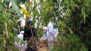 Tìm thấy thi thể cháu bé bị người tình của mẹ ném xuống sông