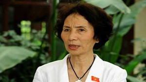 ĐBQH Bùi Thị An: 'Đừng vào Quốc hội để lấy thương hiệu, để nổi tiếng'